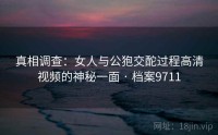 真相调查：女人与公狍交酡过程高清视频的神秘一面 · 档案9711