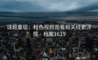 谜题重现：粉色视频观看相关线索浮现 · 档案1619