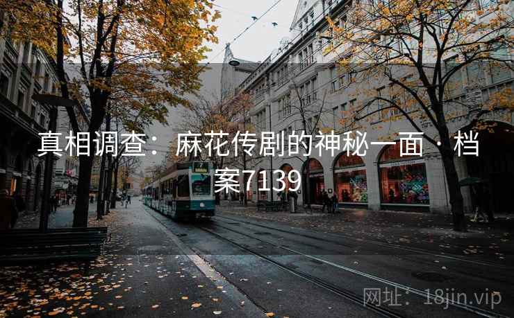 真相调查：麻花传剧的神秘一面 · 档案7139